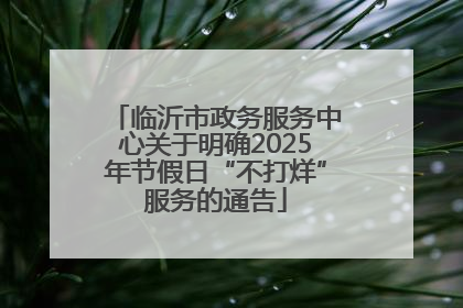 临沂市政务服务中心关于明确2025年节假日“不打烊”服务的通告